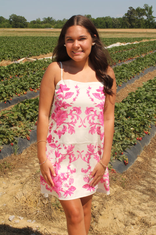 Pink Picnic Dress