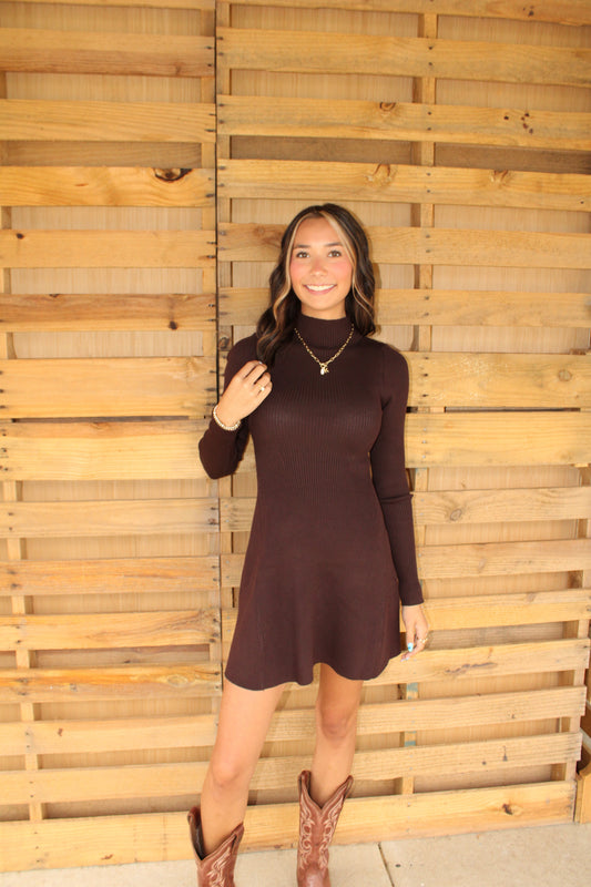 Mocha Sweater Dress